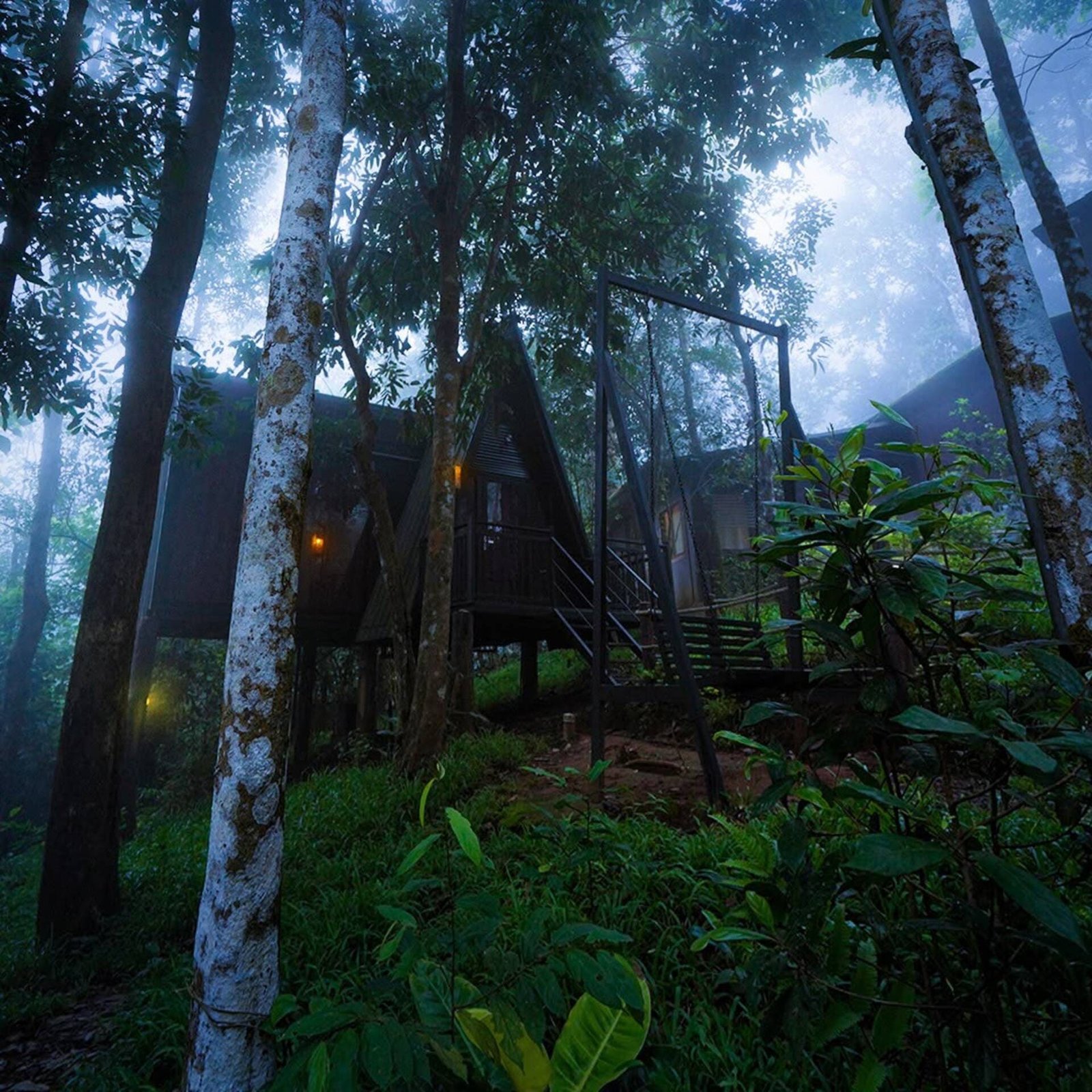 Jungle Beats Resort Wayanad